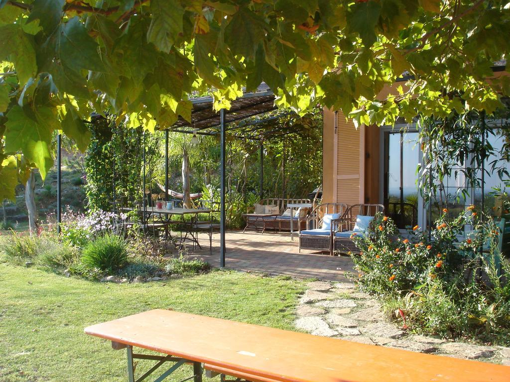 House With Garden And Sea View Villa Ла Лонд-ле-Мор Стая снимка